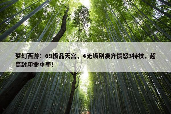 梦幻西游：69极品天宫，4无级别凑齐愤怒3特技，超高封印命中率！