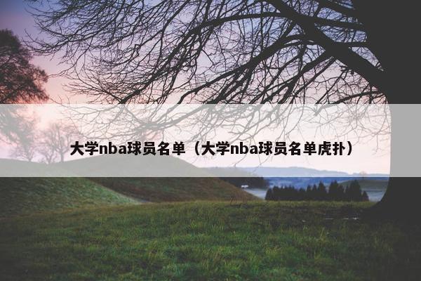 大学nba球员名单（大学nba球员名单虎扑）