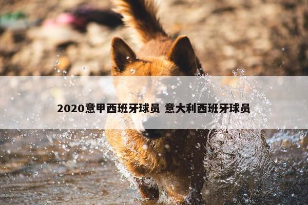 2020意甲西班牙球员 意大利西班牙球员