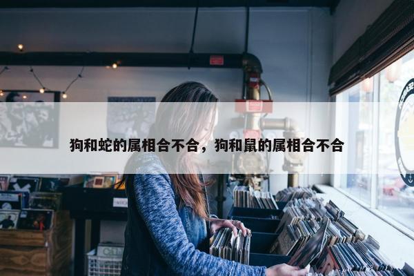 狗和蛇的属相合不合，狗和鼠的属相合不合