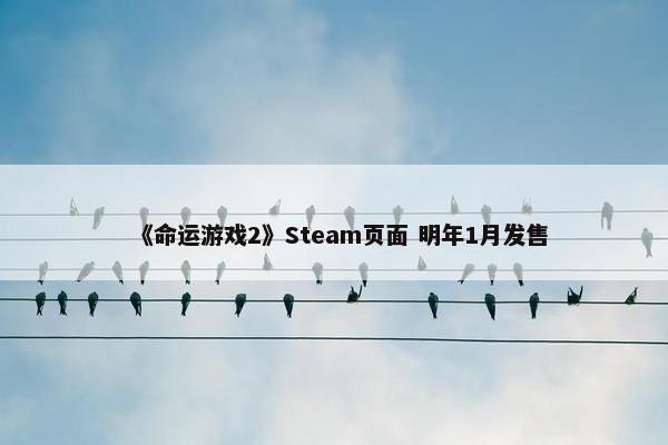 《命运游戏2》Steam页面 明年1月发售