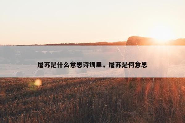 屠苏是什么意思诗词里，屠苏是何意思