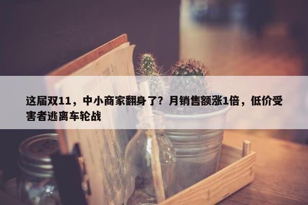 这届双11，中小商家翻身了？月销售额涨1倍，低价受害者逃离车轮战