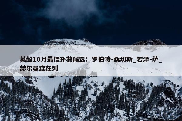 英超10月最佳扑救候选：罗伯特-桑切斯_若泽-萨_赫尔曼森在列