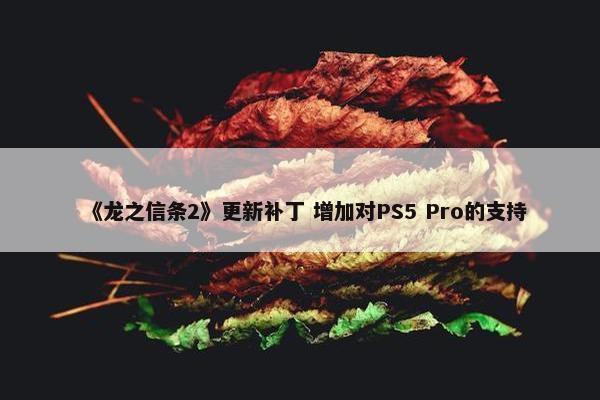 《龙之信条2》更新补丁 增加对PS5 Pro的支持