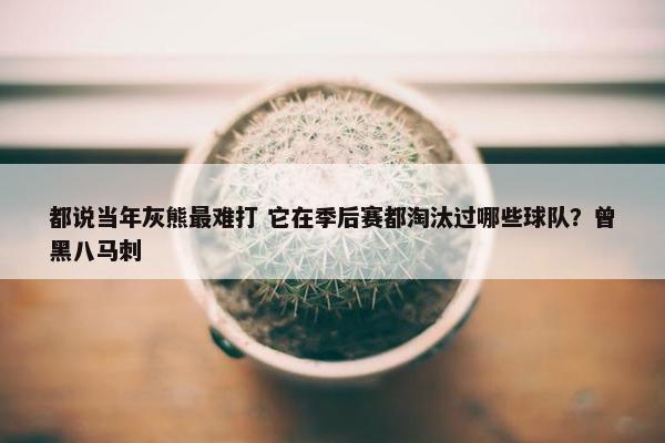 都说当年灰熊最难打 它在季后赛都淘汰过哪些球队？曾黑八马刺