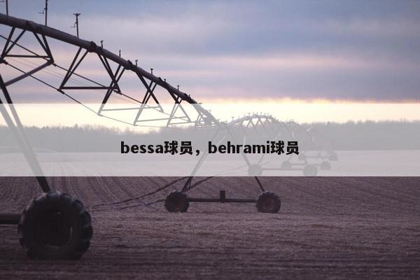 bessa球员，behrami球员