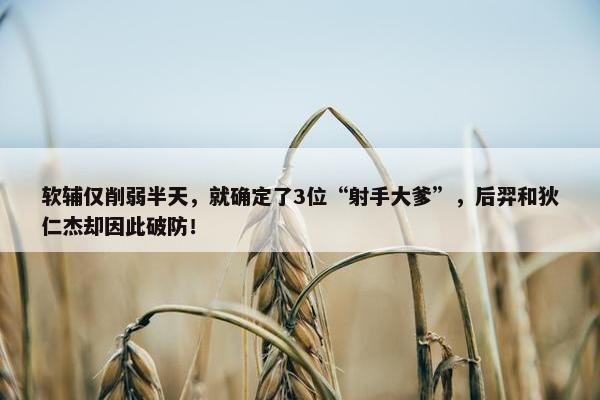 软辅仅削弱半天，就确定了3位“射手大爹”，后羿和狄仁杰却因此破防！