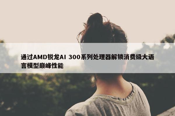 通过AMD锐龙AI 300系列处理器解锁消费级大语言模型巅峰性能