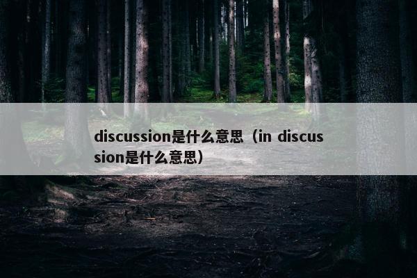 discussion是什么意思（in discussion是什么意思）