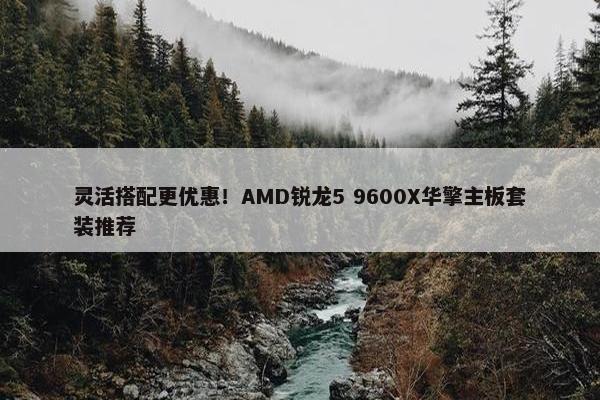 灵活搭配更优惠！AMD锐龙5 9600X华擎主板套装推荐