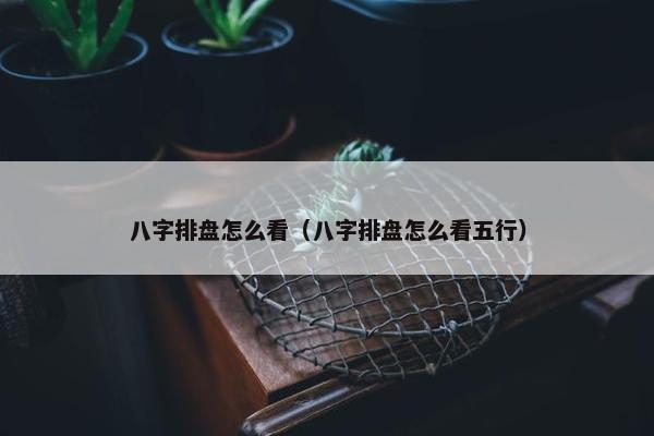 八字排盘怎么看（八字排盘怎么看五行）