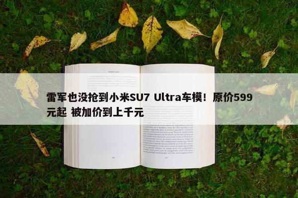 雷军也没抢到小米SU7 Ultra车模！原价599元起 被加价到上千元