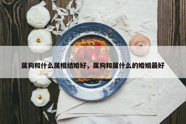 属狗和什么属相结婚好，属狗和属什么的婚姻最好