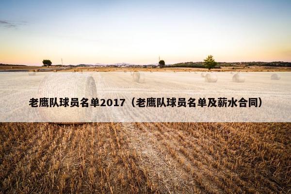 老鹰队球员名单2017（老鹰队球员名单及薪水合同）