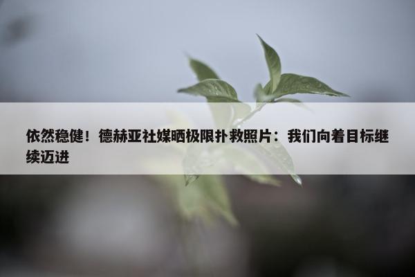 依然稳健！德赫亚社媒晒极限扑救照片：我们向着目标继续迈进