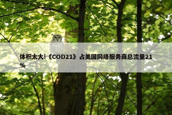 体积太大!《COD21》占美国网络服务商总流量21%