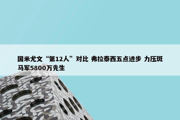 国米尤文“第12人”对比 弗拉泰西五点进步 力压斑马军5800万先生