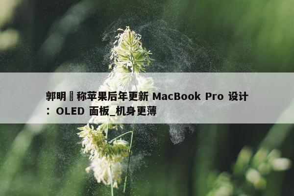 郭明錤称苹果后年更新 MacBook Pro 设计：OLED 面板_机身更薄