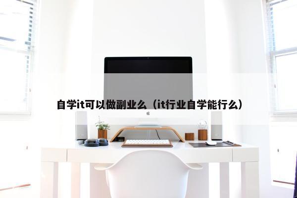 自学it可以做副业么（it行业自学能行么）