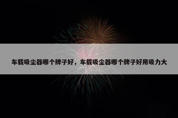 车载吸尘器哪个牌子好，车载吸尘器哪个牌子好用吸力大