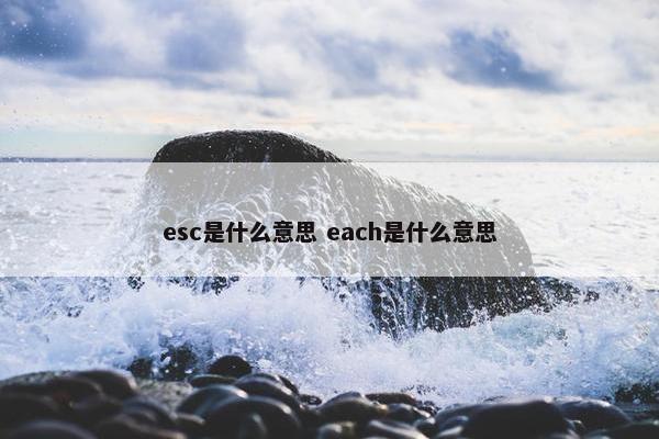 esc是什么意思 each是什么意思