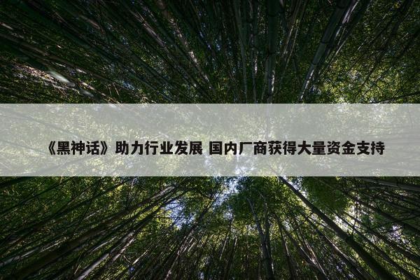 《黑神话》助力行业发展 国内厂商获得大量资金支持