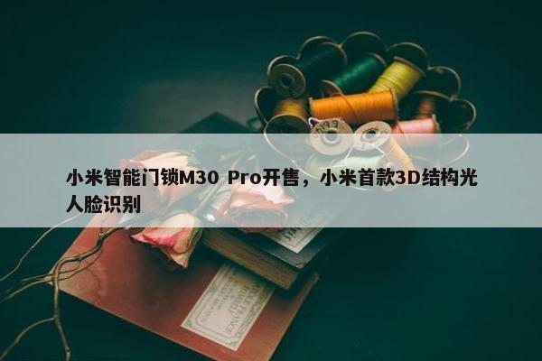 小米智能门锁M30 Pro开售，小米首款3D结构光人脸识别