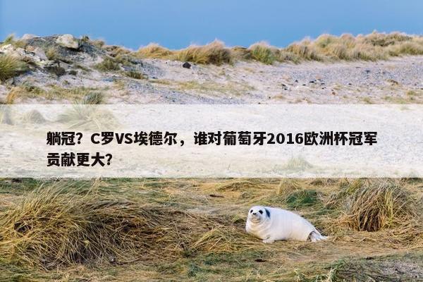 躺冠？C罗VS埃德尔，谁对葡萄牙2016欧洲杯冠军贡献更大？