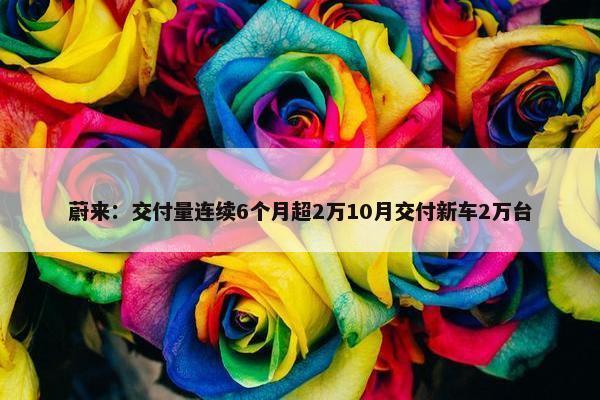 蔚来：交付量连续6个月超2万10月交付新车2万台