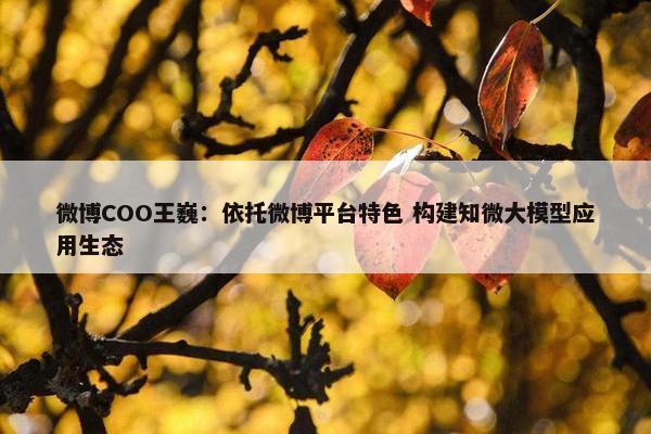 微博COO王巍：依托微博平台特色 构建知微大模型应用生态