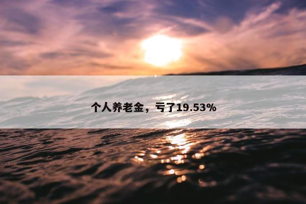 个人养老金，亏了19.53%