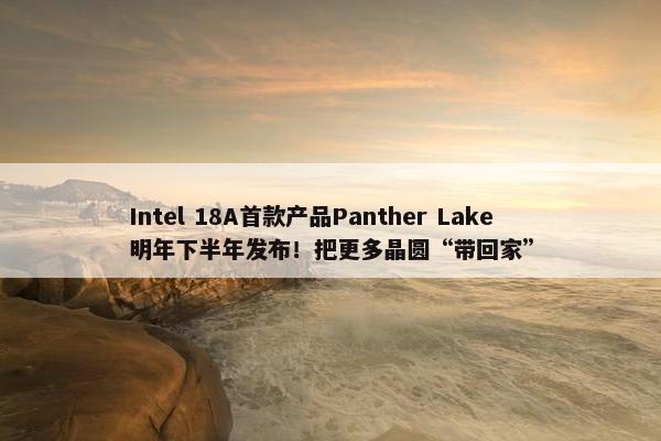 Intel 18A首款产品Panther Lake明年下半年发布！把更多晶圆“带回家”