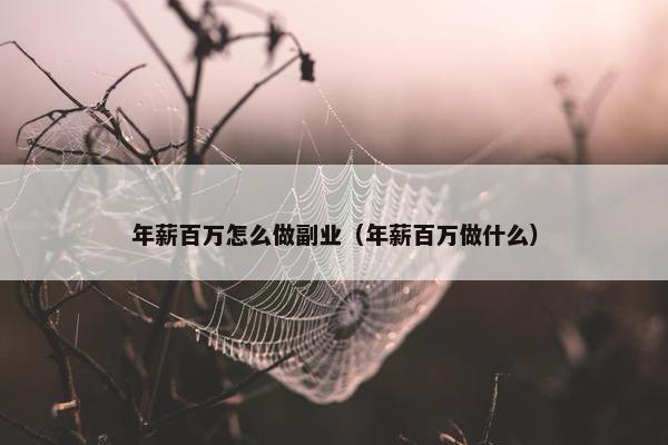 年薪百万怎么做副业（年薪百万做什么）