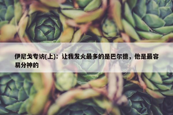 伊尼戈专访(上)：让我发火最多的是巴尔德，他是最容易分神的