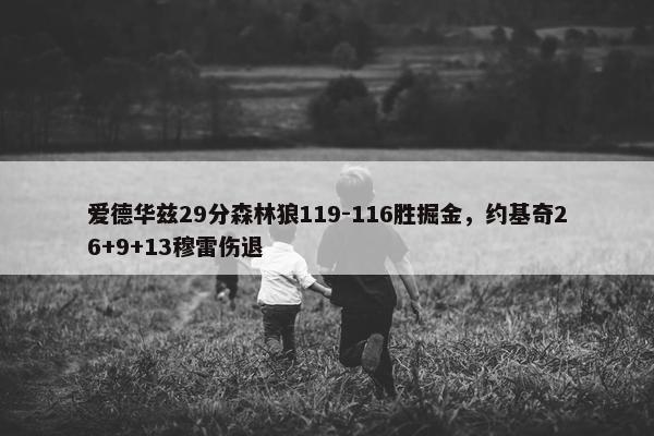 爱德华兹29分森林狼119-116胜掘金，约基奇26+9+13穆雷伤退